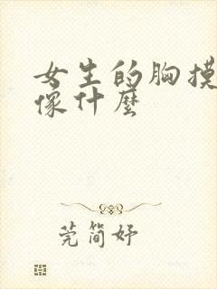 女生的胸摸起来像什么