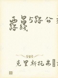 西昌5路公交车路线