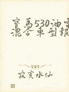 宝马530油电混合车型报价及图片 宝马530油电混合车型报价及图片