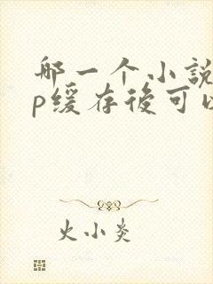 哪一个小说app缓存后可以离线看的
