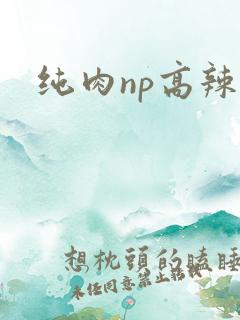 纯肉np高辣h