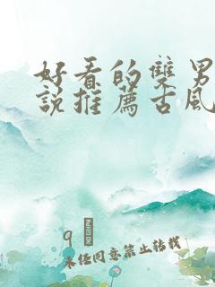 好看的双男主小说推荐古风