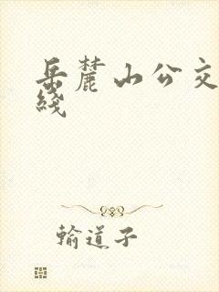 岳麓山公交车路线