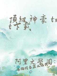 顶级神豪 txt下载