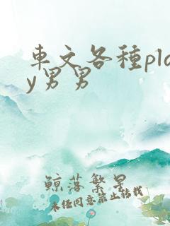 车文各种play男男