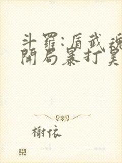 斗罗:盾武魂,开局暴打昊天锤