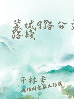 蒙城9路公交车路线