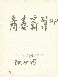 专业定制app开发制作