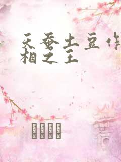 天蚕土豆作品万相之王
