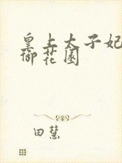皇上太子妃宁初御花园