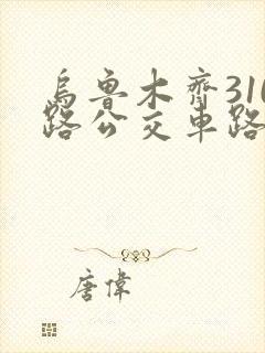 乌鲁木齐310路公交车路线图