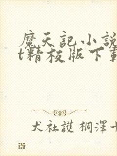 魔天记小说txt精校版下载