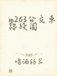 m263公交车路线图