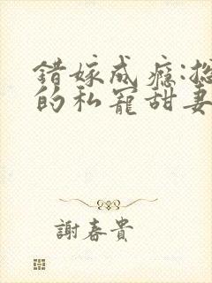 错嫁成瘾:总裁的私宠甜妻