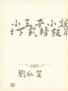 小王子小说txt下载精校版