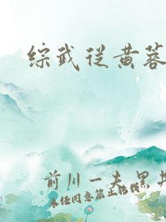 综武从黄蓉开始