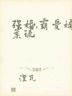 强婚,霸爱娇妻叶琉