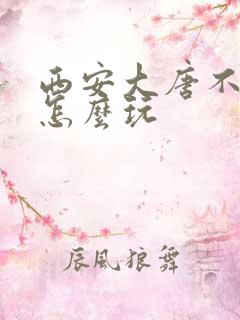 西安大唐不夜城怎么玩