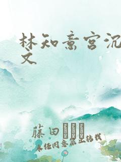 林知意宫沉易小文