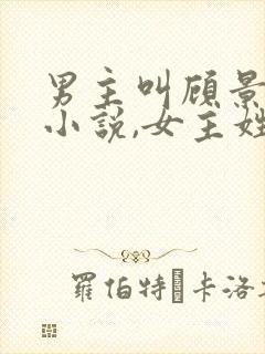 男主叫顾景琛的小说,女主姓慕