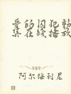 爱的囚犯动漫全集在线播放免费观看