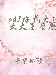 pdf格式文件太大怎么压缩 pdf格式文件太大怎么压缩