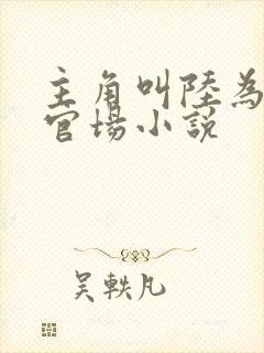 主角叫陆为民的官场小说