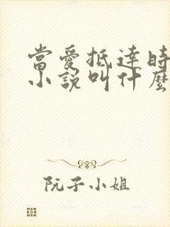 当爱抵达时原著小说叫什么