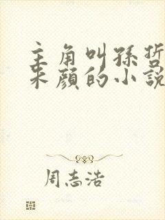 主角叫孙哲叶巧朱颜的小说