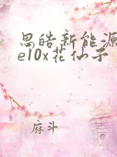 思皓新能源汽车e10x花仙子