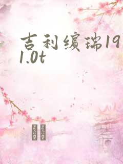 吉利缤瑞19款1.0t