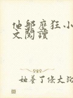 他那么狂小说全文阅读