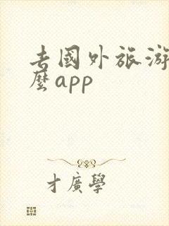 去国外旅游用什么app