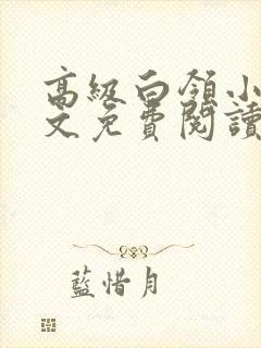 高级白领小说全文免费阅读无弹窗