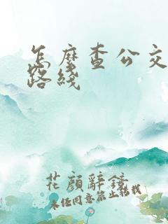 怎么查公交车的路线