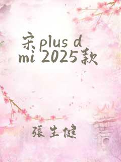 宋plus dmi 2025款