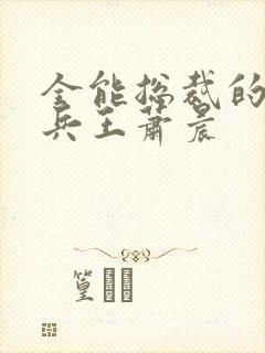 全能总裁的全能兵王萧晨