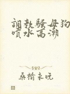 调教骚母狗全程喷水高潮