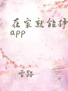 在家就能挣钱的app