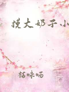 摸大奶子小说