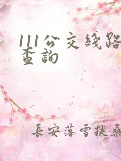111公交线路查询