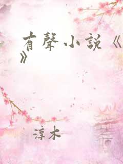 有声小说《对手》