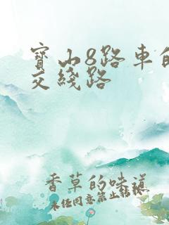 宝山8路车的公交线路
