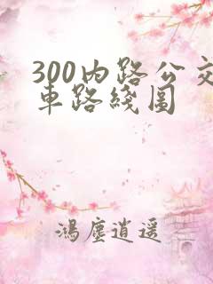 300内路公交车路线图