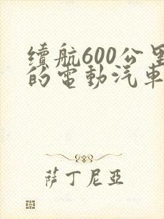 续航600公里的电动汽车有哪些