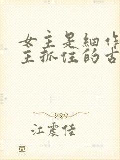 女主是细作被男主抓住的古言