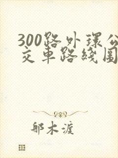 300路外环公交车路线图