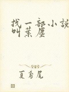找一部小说主角叫叶尘