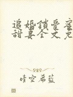 追婚锁爱蜜宠小甜妻全文免费