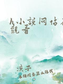 h小说网站在线观看